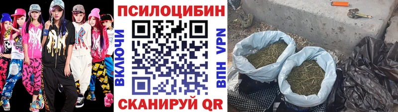 Купить где Вуктыл Галлюциногенные грибы Psilocybine cubensis